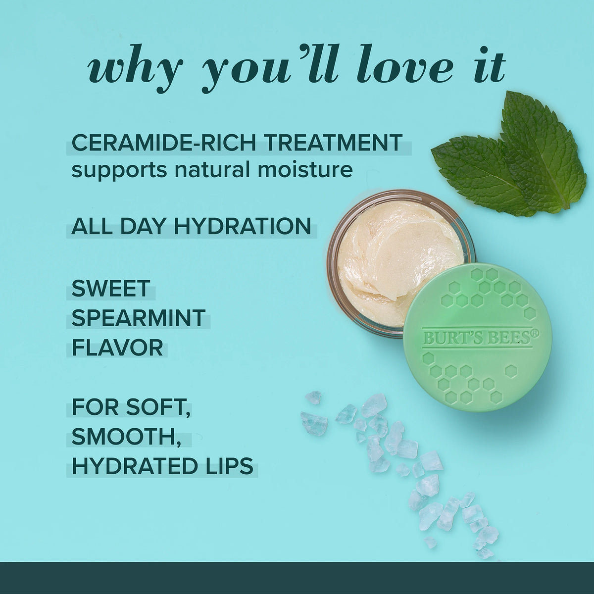 Sweet Mint Lip Treatment with Sea Minerals